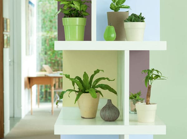 Etagère plantes vertes coin de verdure