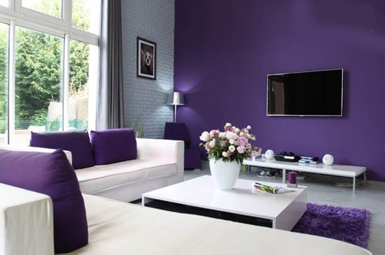 salon violet couleurs déco