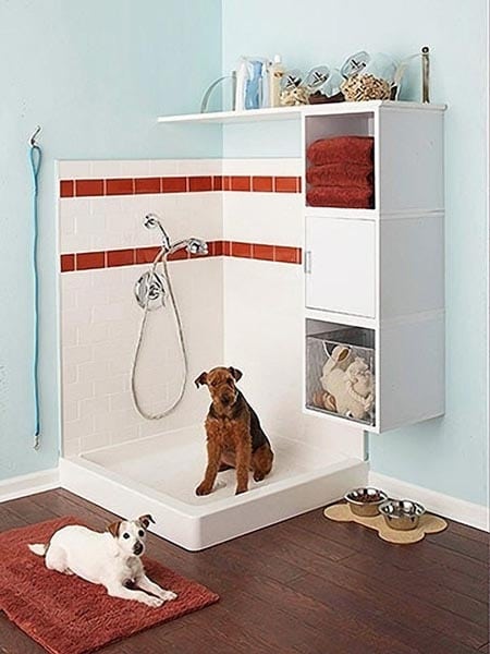 Douche pour chiens idées déco originales