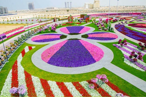 Jardin des miracles Dubaï 1 - jardin à Dubaï