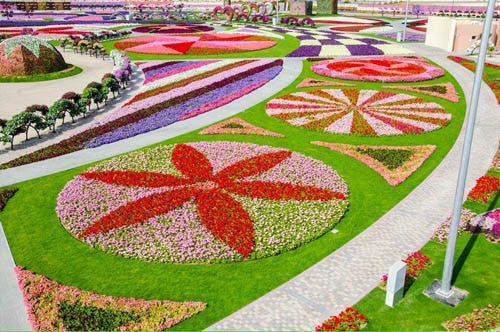 Jardin des miracles Dubaï 4