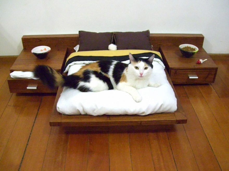 meubles pour chats