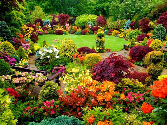 Jardin coloré