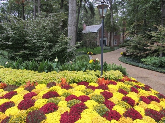 jardins d'automne