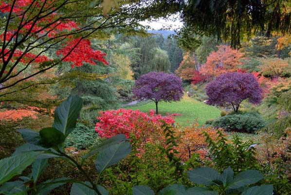 jardins d'automne