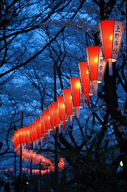 cerisiers du Japon lanternes Paysages japonnais