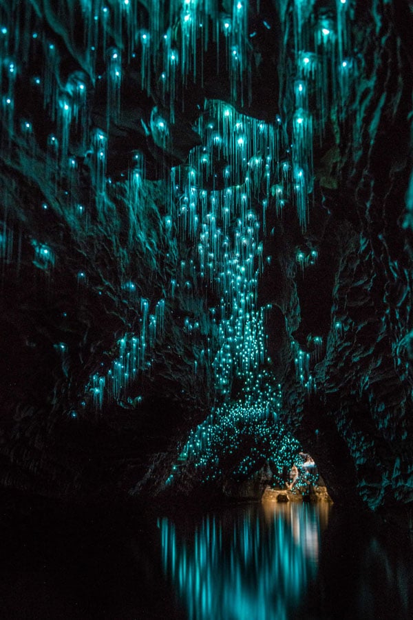 grottes de Nouvelle-Zélande phosphorescentes