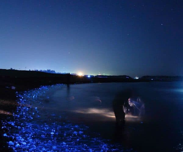 mer illuminée bleue nuit