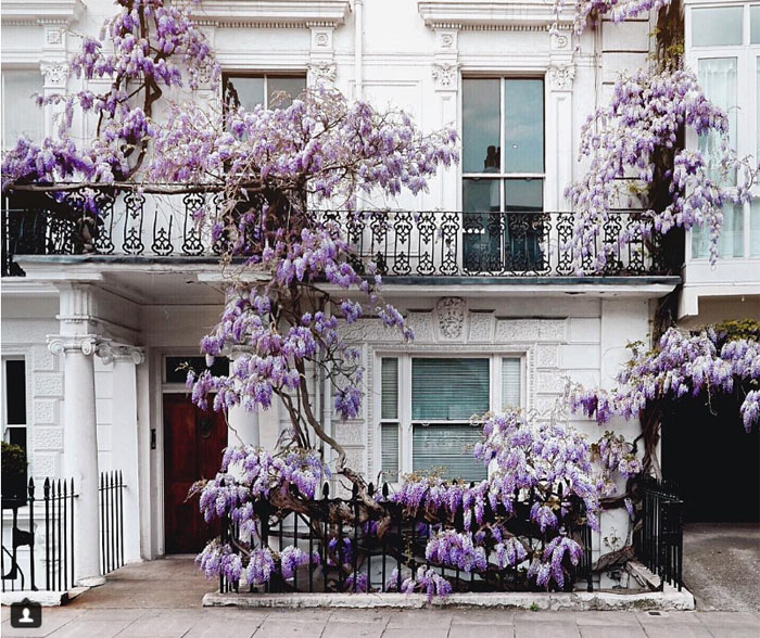 maisons londoniennes façades colorées Notthing Hill