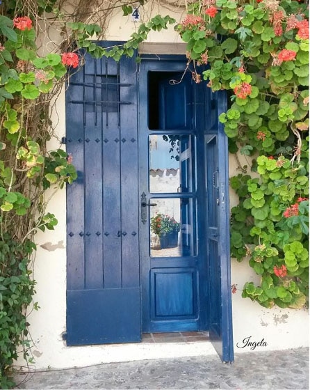 porte d'entrée bleue