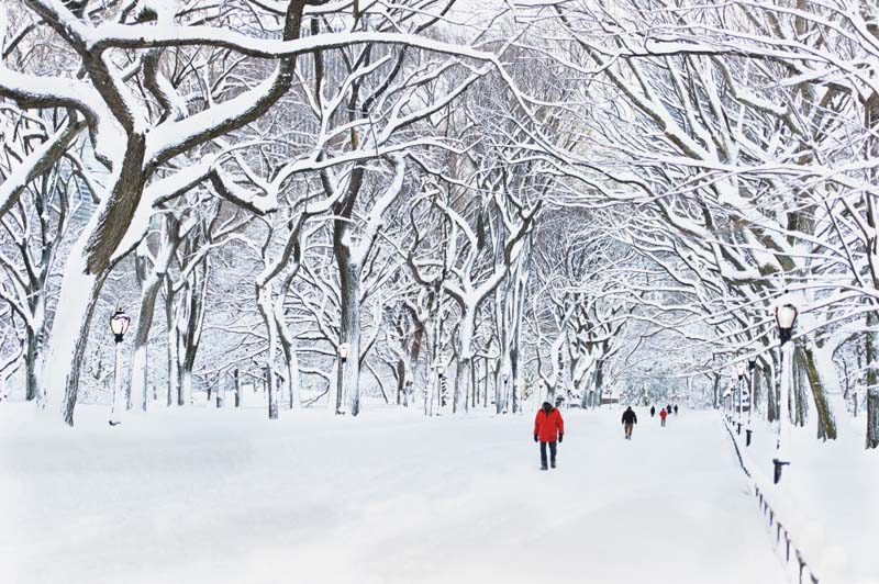 Central Park neige paysages enneigés