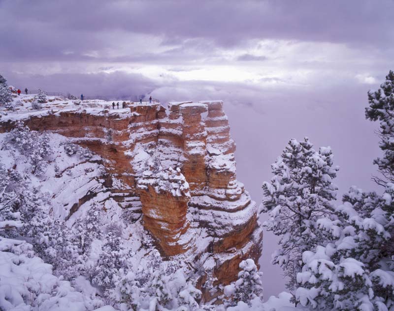 Grand Canyon sous la neige paysages enneigés
