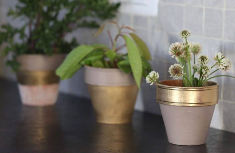 pots de fleurs diy