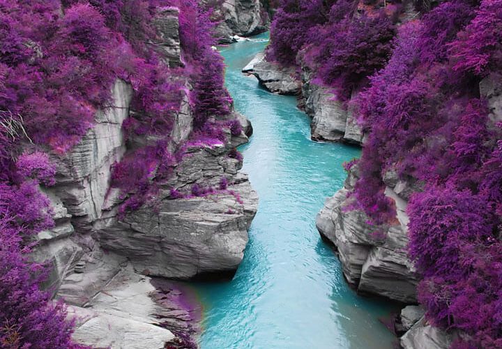 Rivière féérique turquoise et arbres mauves