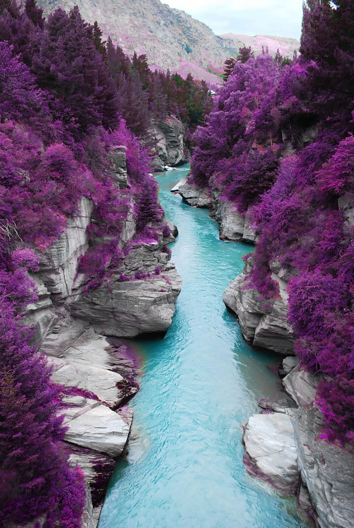 Rivière féérique turquoise et arbres mauves