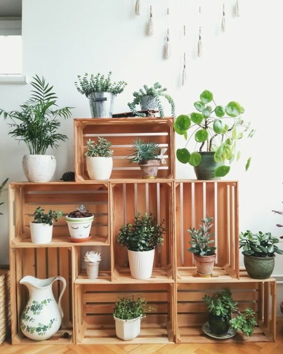 etageres plantes diy